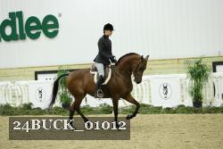24BUCK_01012 proof