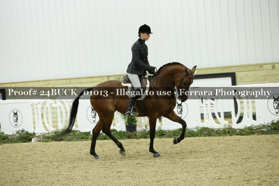 Proof 24BUCK_01013