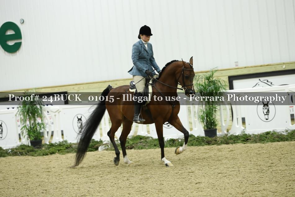 Proof 24BUCK_01015