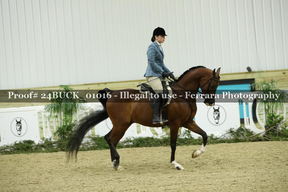 Proof 24BUCK_01016