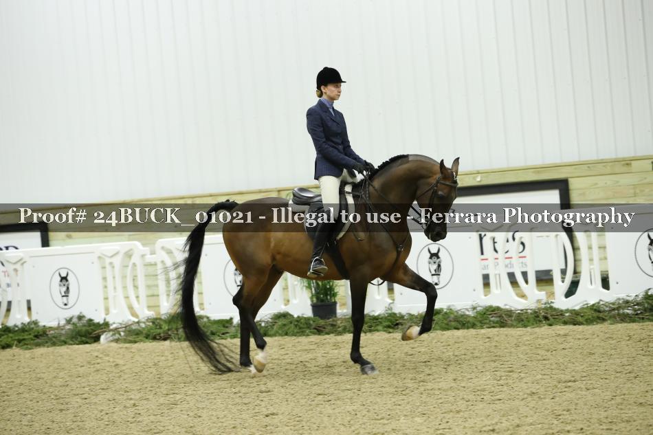 Proof 24BUCK_01021
