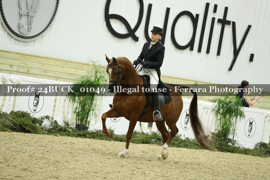 Proof 24BUCK_01049