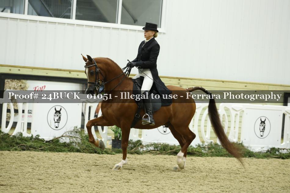 Proof 24BUCK_01051