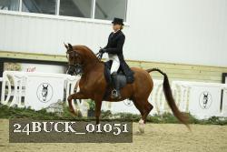 24BUCK_01051 proof