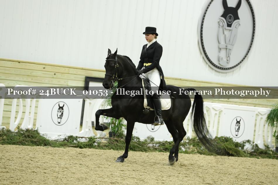 Proof 24BUCK_01053