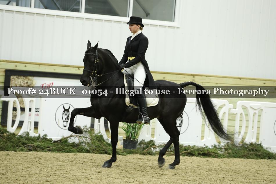 Proof 24BUCK_01054
