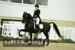 24BUCK_01054 proof