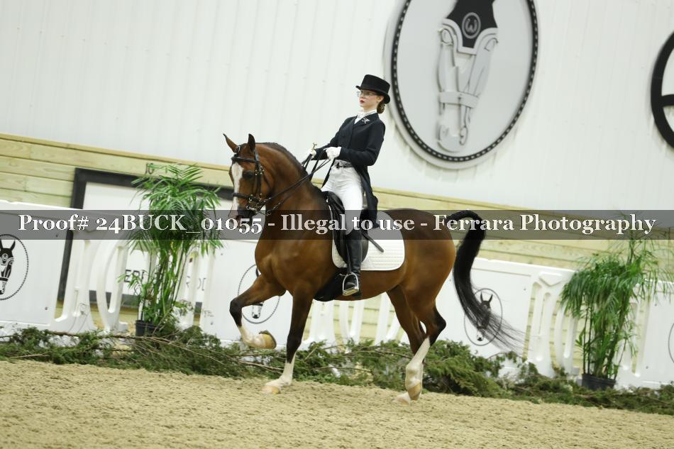 Proof 24BUCK_01055