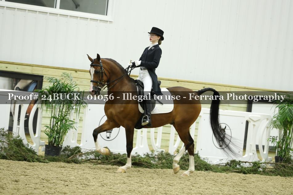Proof 24BUCK_01056