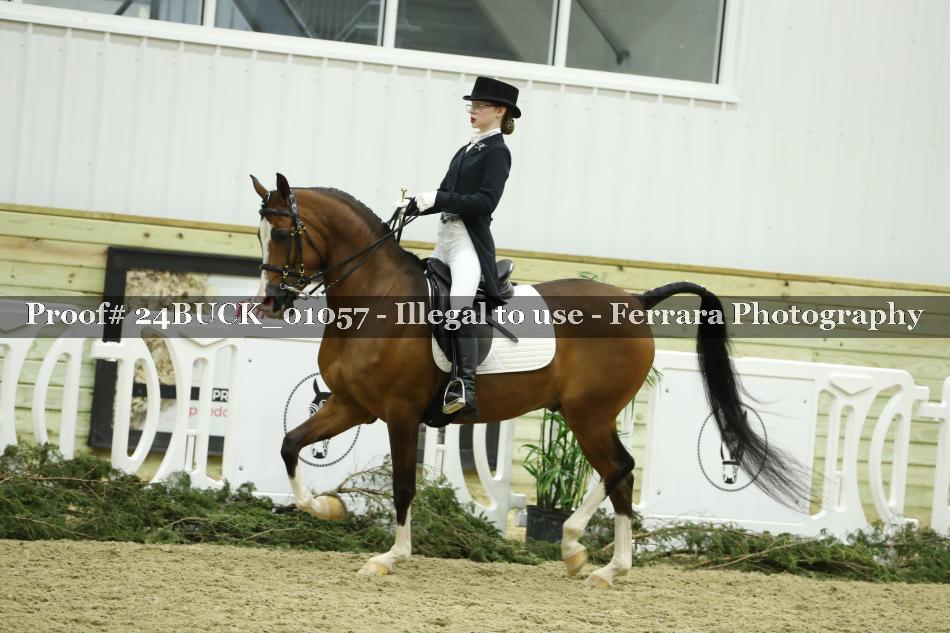 Proof 24BUCK_01057