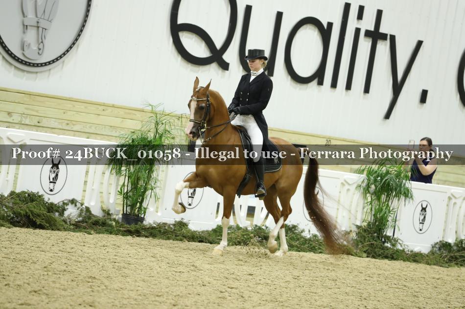 Proof 24BUCK_01058