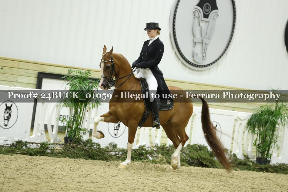 Proof 24BUCK_01059