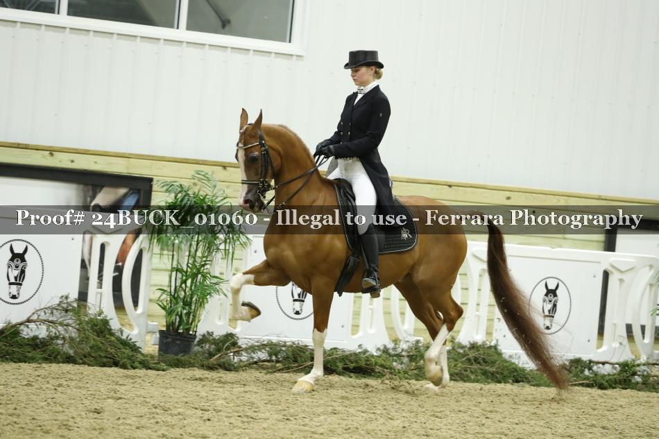 Proof 24BUCK_01060