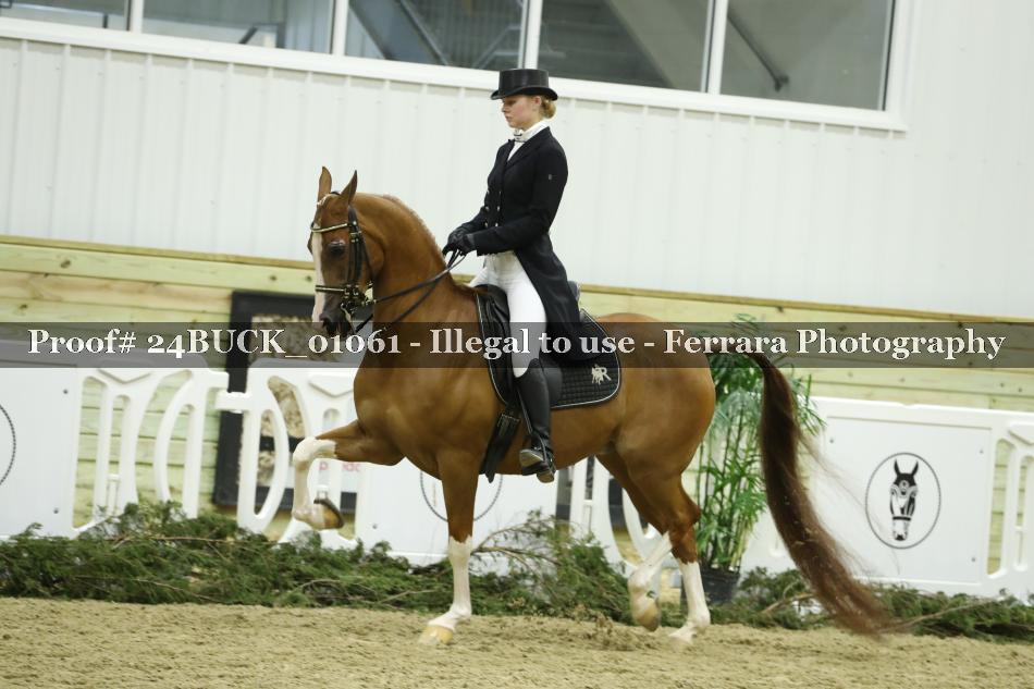 Proof 24BUCK_01061