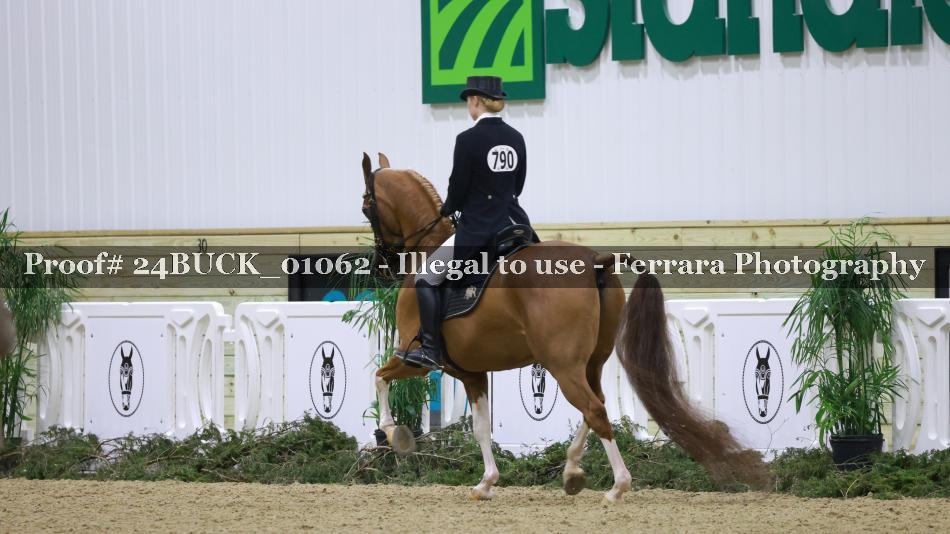 Proof 24BUCK_01062