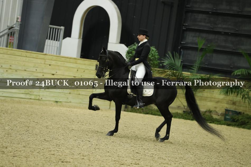 Proof 24BUCK_01065