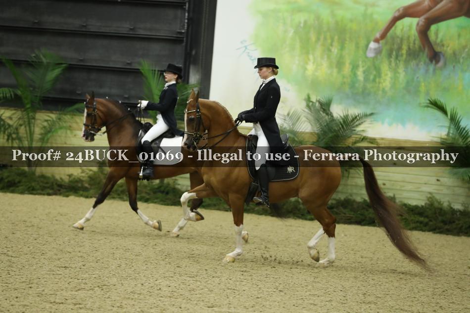 Proof 24BUCK_01069