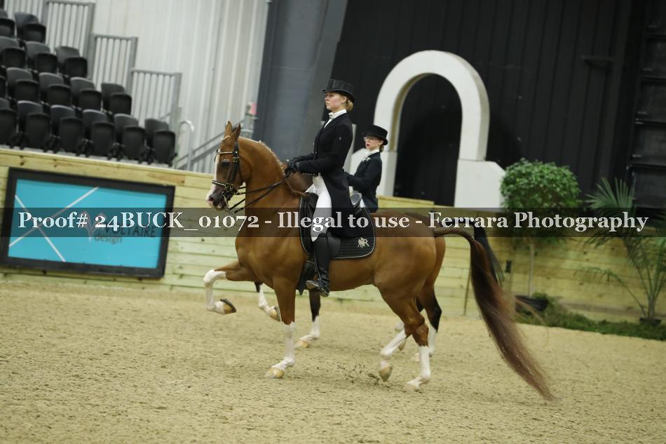 Proof 24BUCK_01072