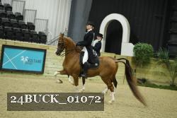 24BUCK_01072 proof