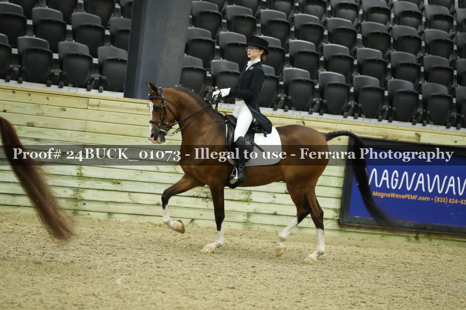 Proof 24BUCK_01073