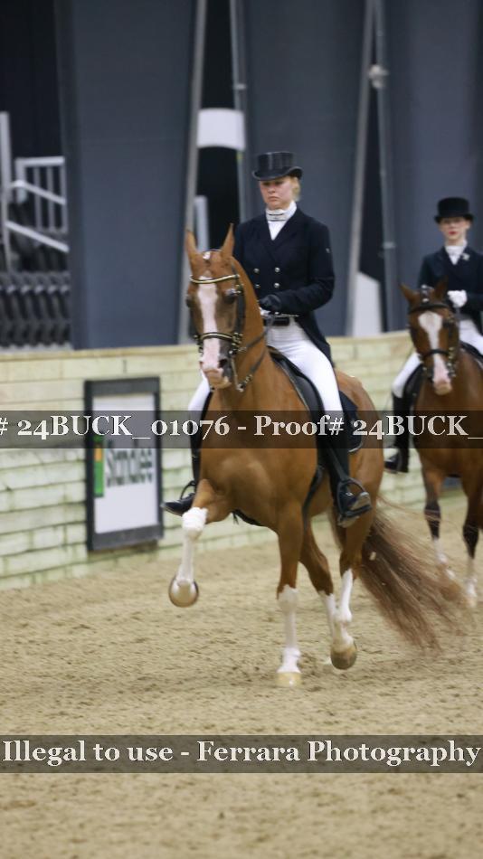 Proof 24BUCK_01076