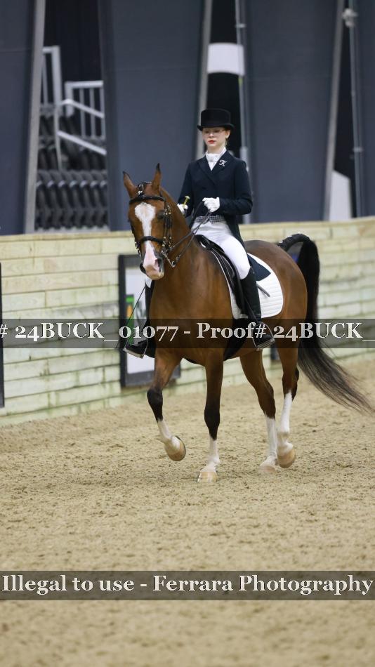 Proof 24BUCK_01077