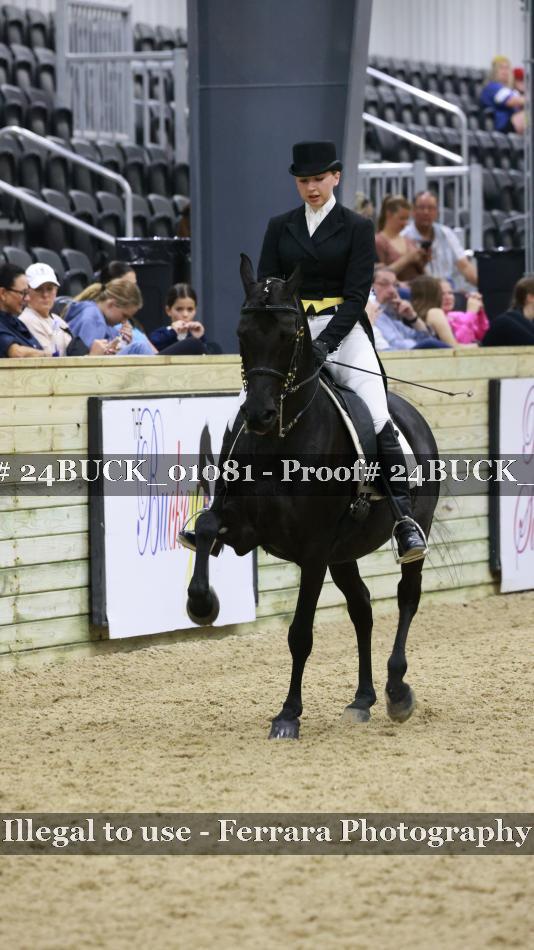Proof 24BUCK_01081