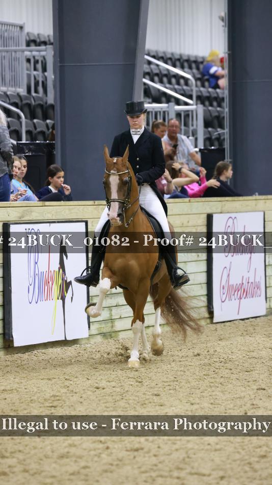 Proof 24BUCK_01082