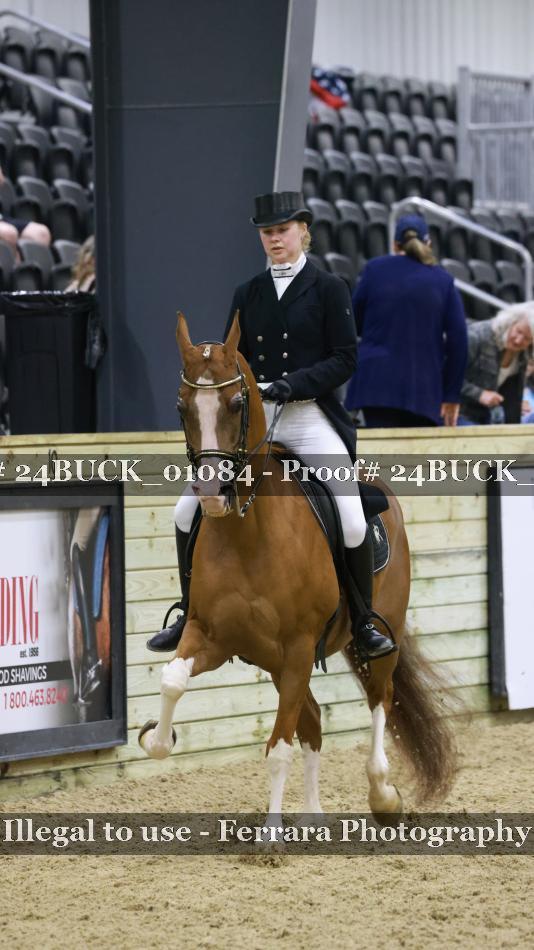 Proof 24BUCK_01084