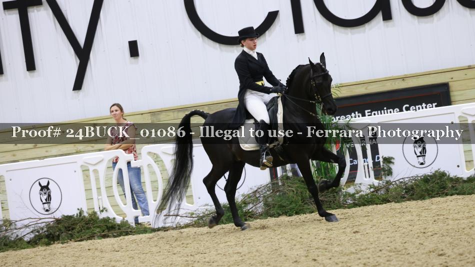 Proof 24BUCK_01086