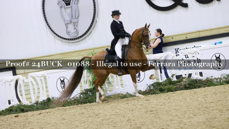 Proof 24BUCK_01088