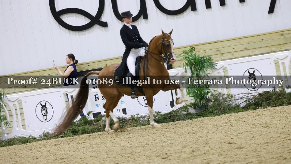 Proof 24BUCK_01089