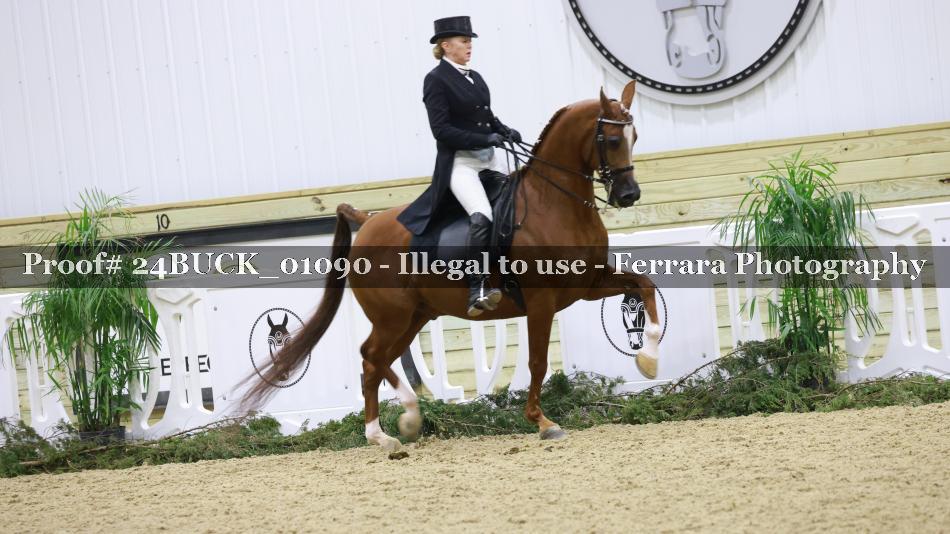 Proof 24BUCK_01090