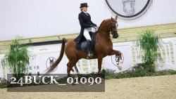24BUCK_01090 proof