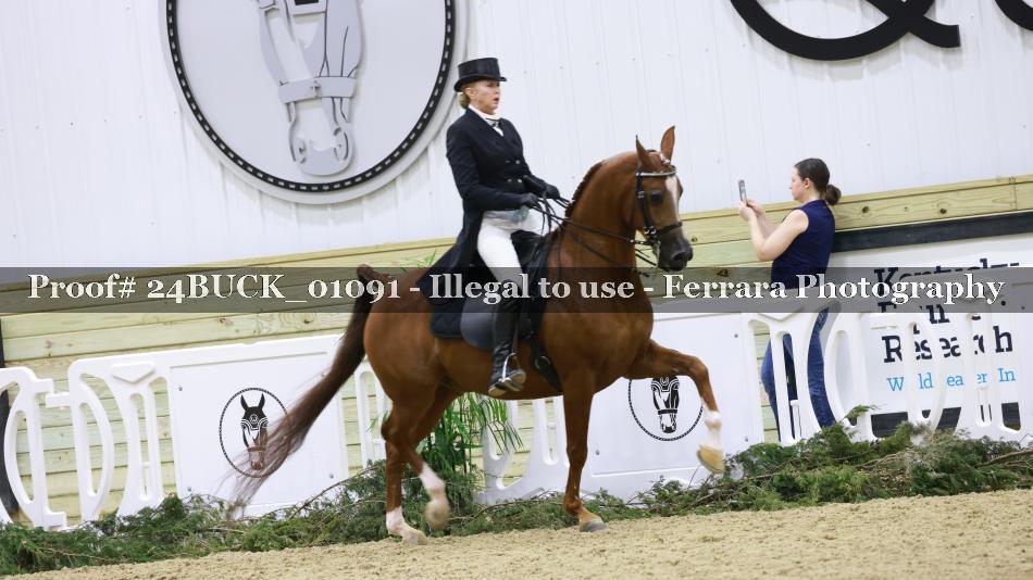 Proof 24BUCK_01091
