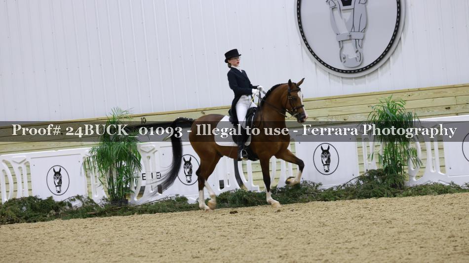 Proof 24BUCK_01093