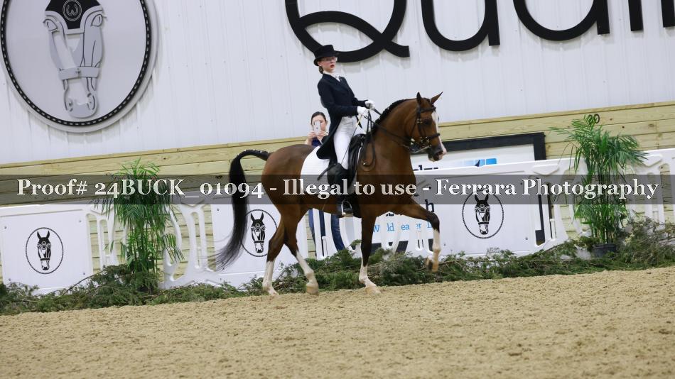 Proof 24BUCK_01094