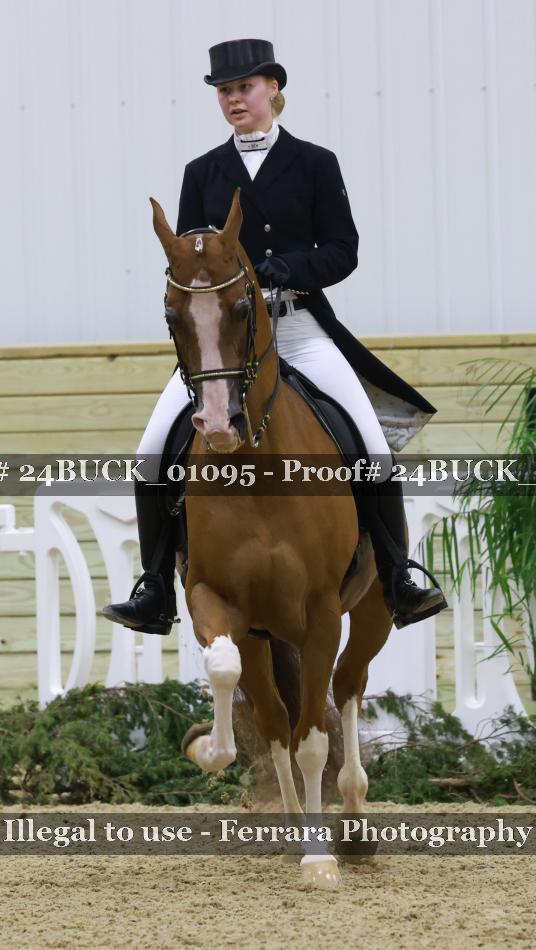 Proof 24BUCK_01095