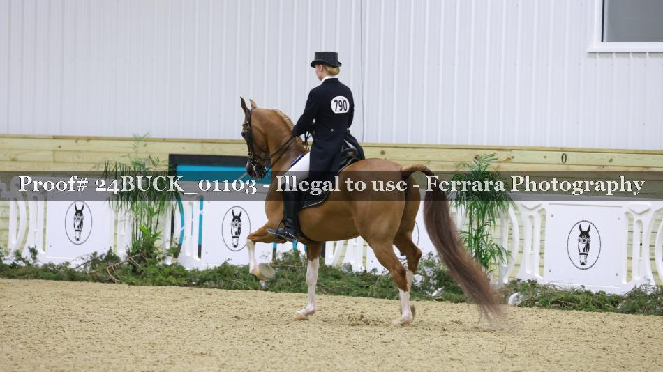 Proof 24BUCK_01103