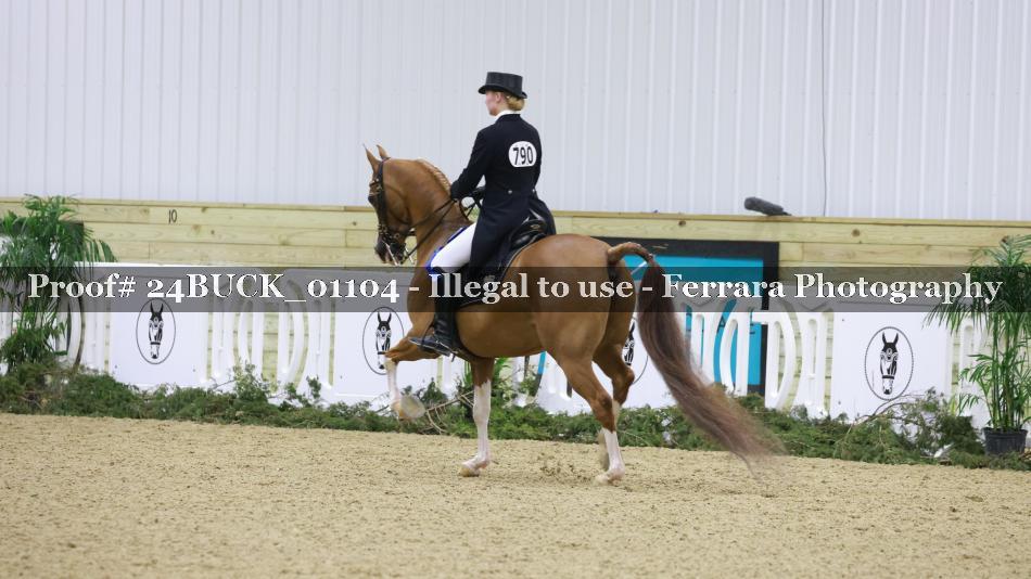 Proof 24BUCK_01104