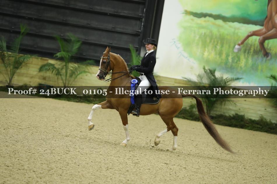 Proof 24BUCK_01105