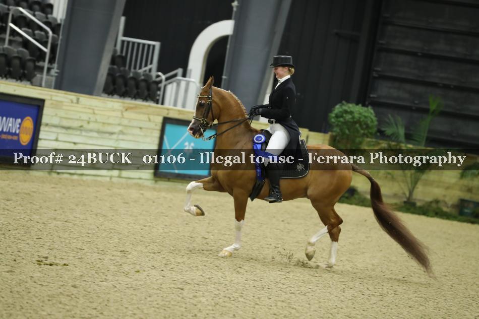 Proof 24BUCK_01106