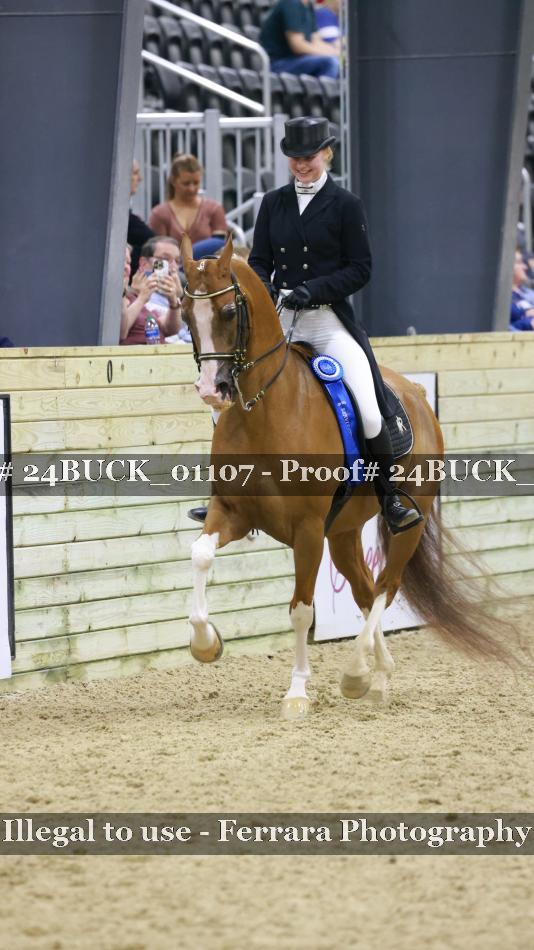 Proof 24BUCK_01107