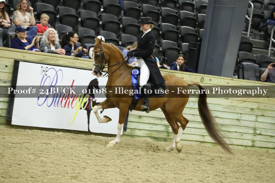 Proof 24BUCK_01108