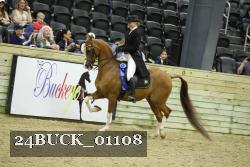 24BUCK_01108 proof