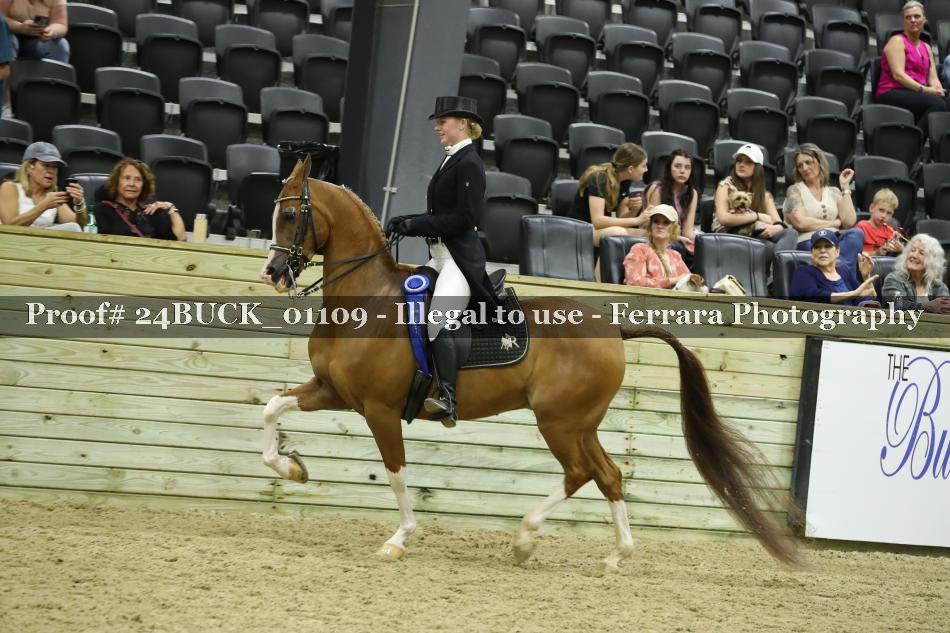 Proof 24BUCK_01109