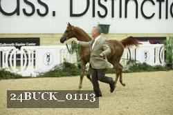 24BUCK_01113 proof