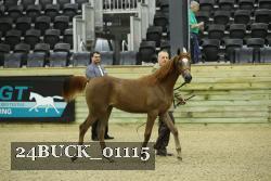 24BUCK_01115 proof