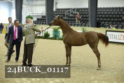 24BUCK_01117 proof
