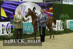 24BUCK_01118 proof